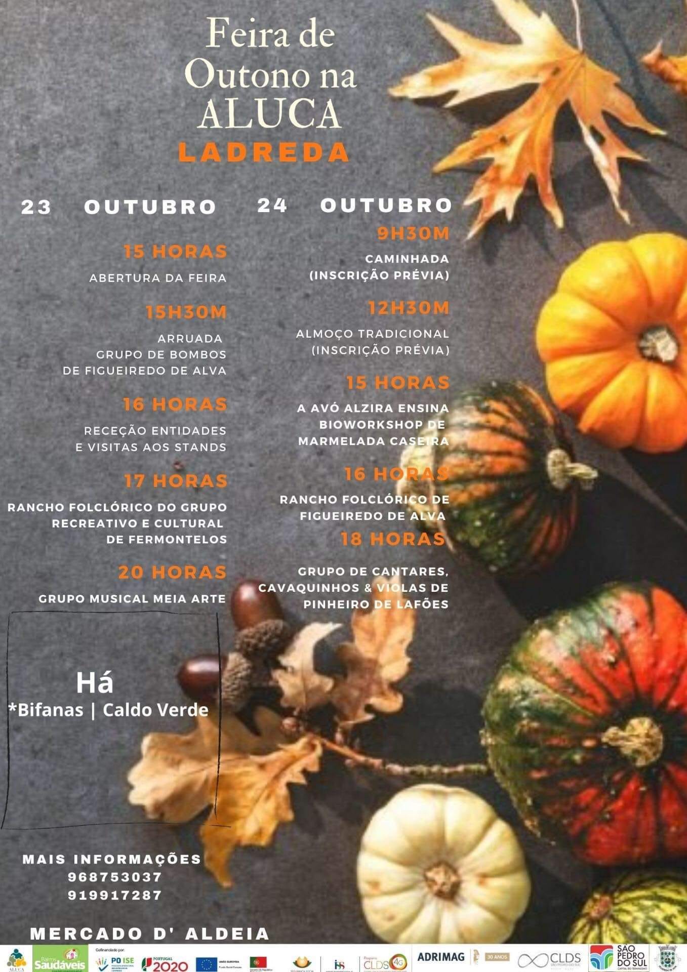 Read more about the article Feira de Outono na ALUCA