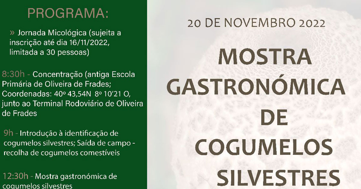 You are currently viewing Mostra Gastronómica de Cogumelos Silvestres